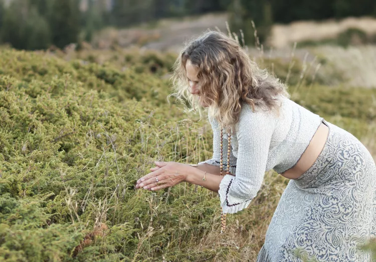 Die sanfte Kraft des Sommers